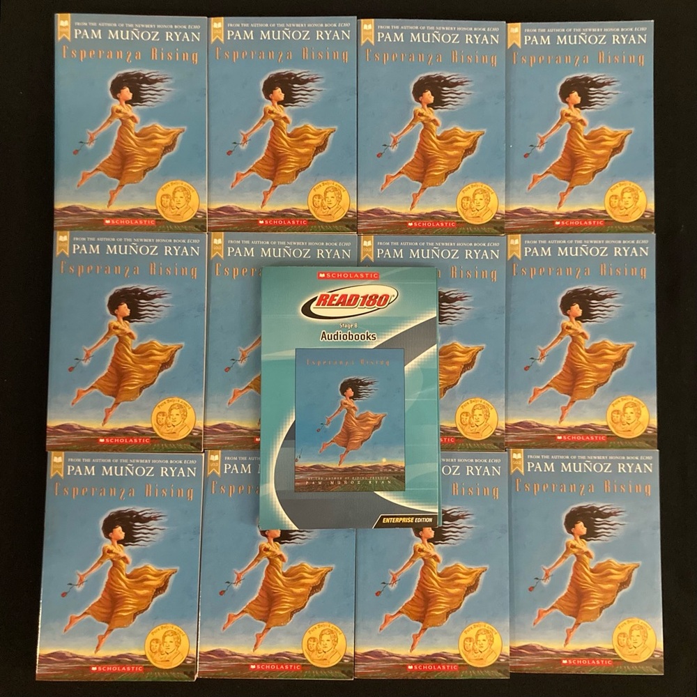 SCHOLASTIC group reading set